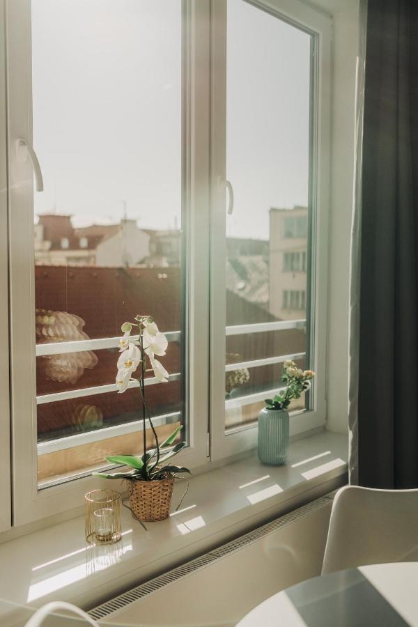 New Equipped Apartment In The City Center Plzeň Exteriör bild